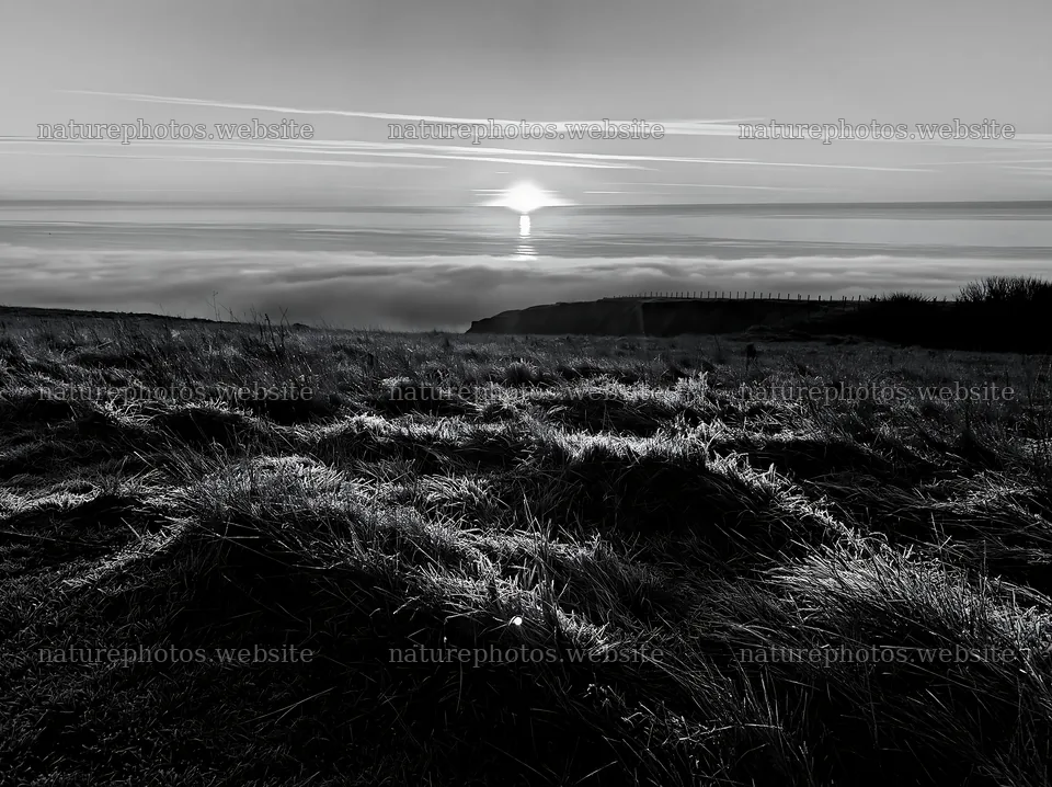 Frosty meadow at sunrise with distant horizon line – nature photos 9174x6866