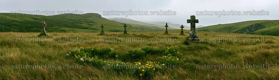 Christian crosses in a rain-soaked meadow – nature photos 14762x4268