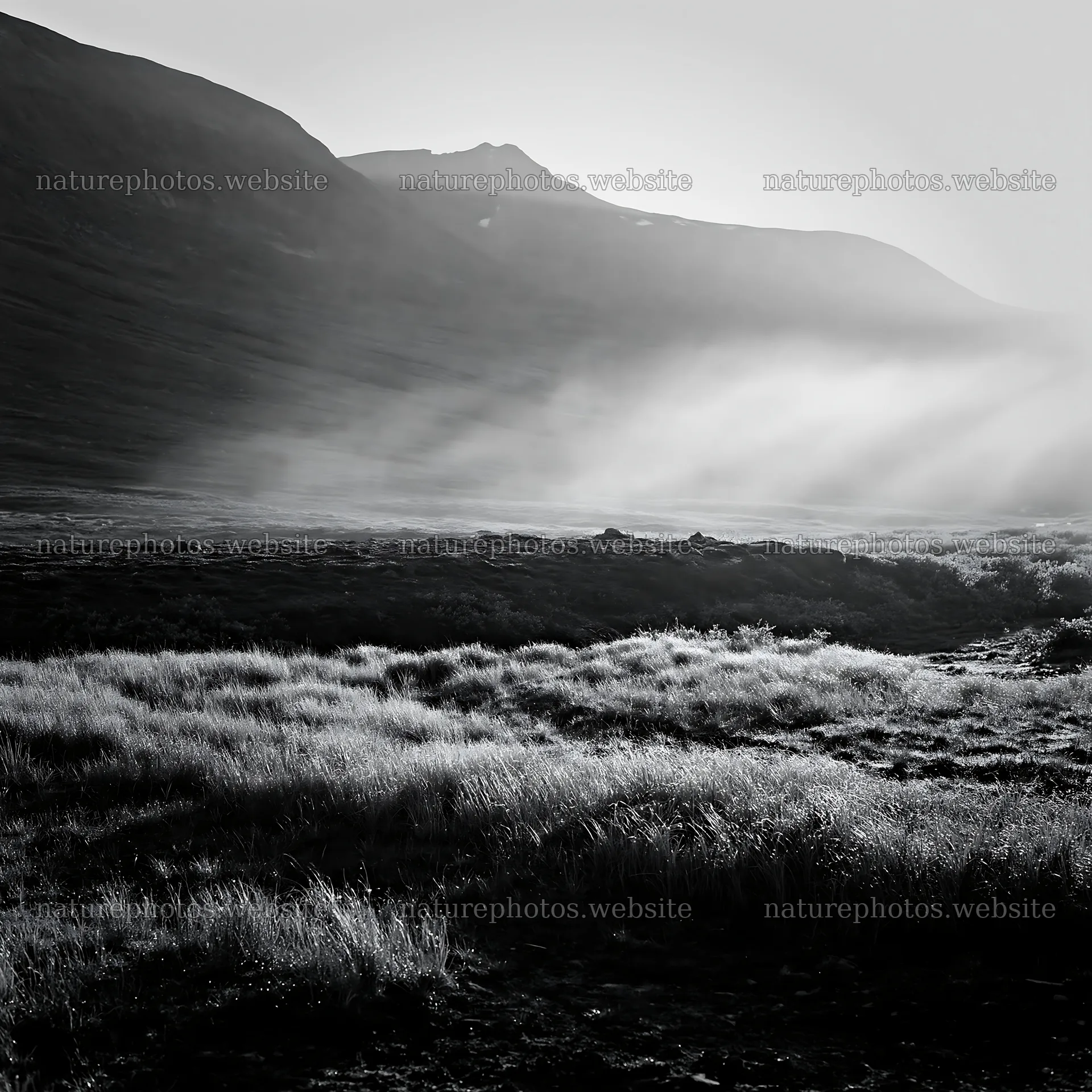 Sunbeams shining over Jotunheimen valley meadow – nature photos 7938x7938