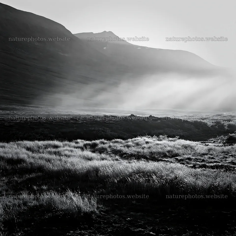 Sunbeams shining over Jotunheimen valley meadow – nature photos 7938x7938