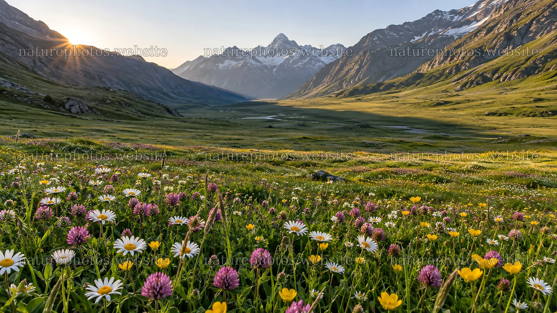 Wildflower Meadow Beneath Snowy Mountain Peaks – nature photos 10324x5812