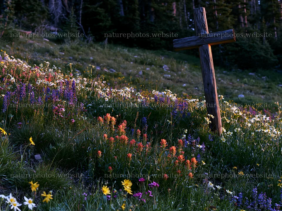 Wooden cross in mountain meadow with wildflowers – nature photos 9174x6866