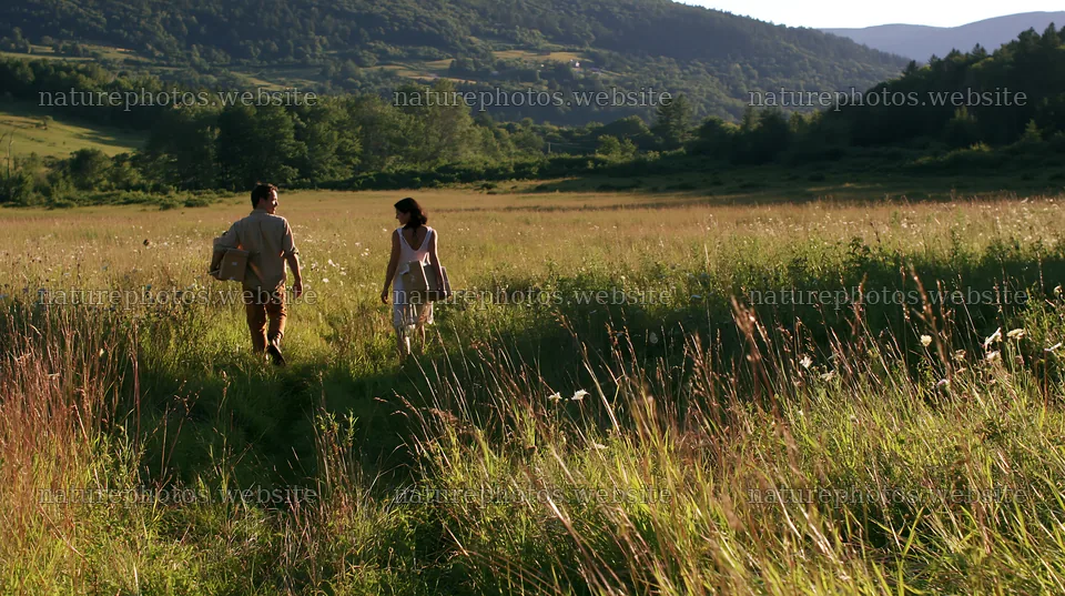 Couple walking in a meadow during daylight – nature photos 10608x5938