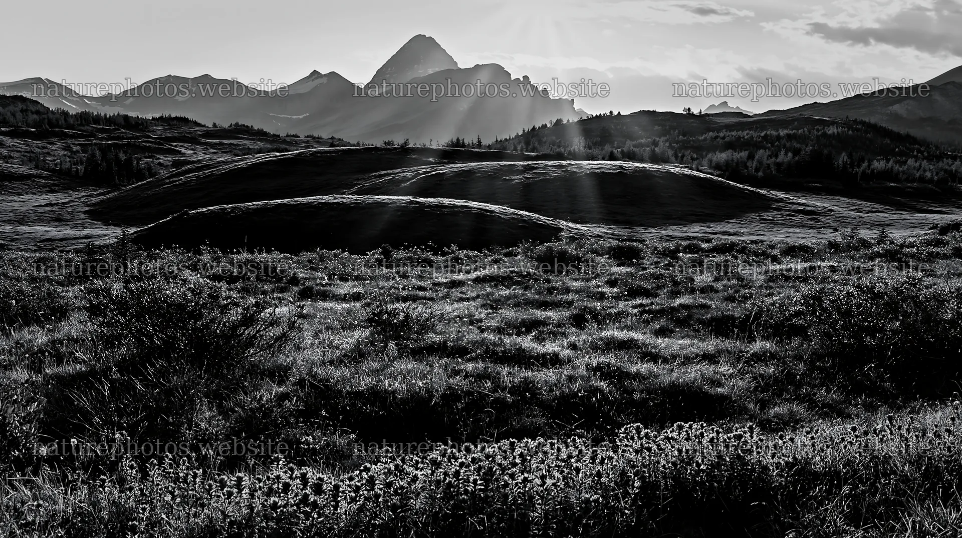 Light rays over Sunshine Meadows in Banff National Park – nature photos 10608x5938