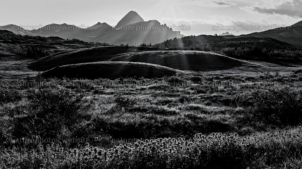 Light rays over Sunshine Meadows in Banff National Park – nature photos 10608x5938