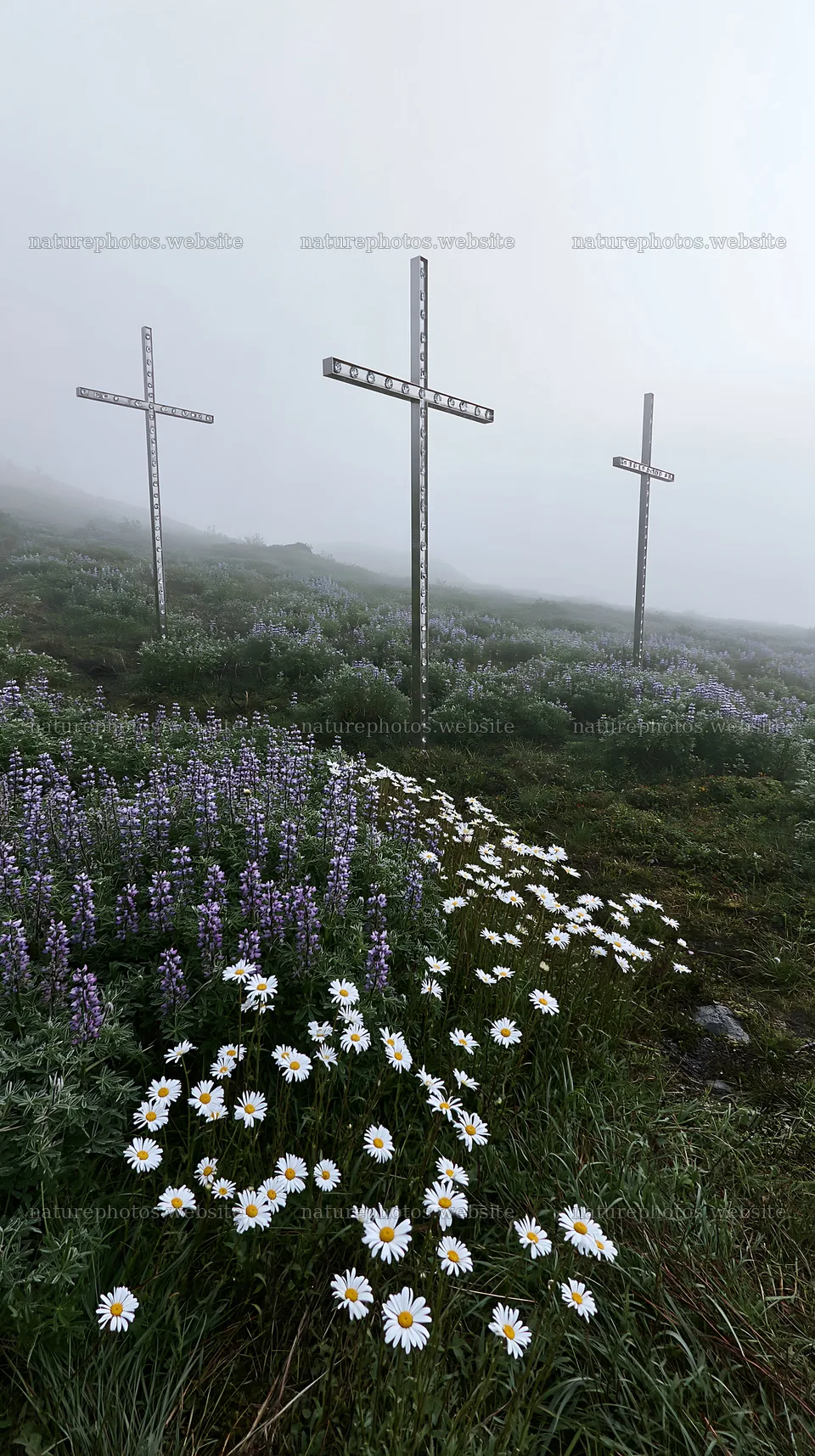 Three Christian crosses in a meadow with flowers – nature photos 5938x10608