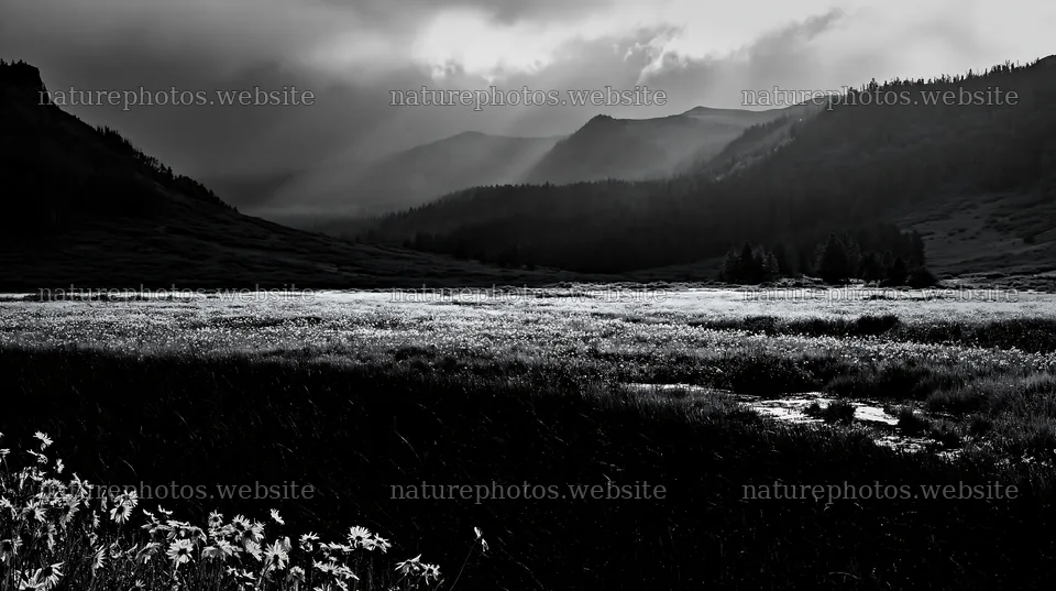 High contrast brook meadow under cloudy sky – nature photos 10608x5938