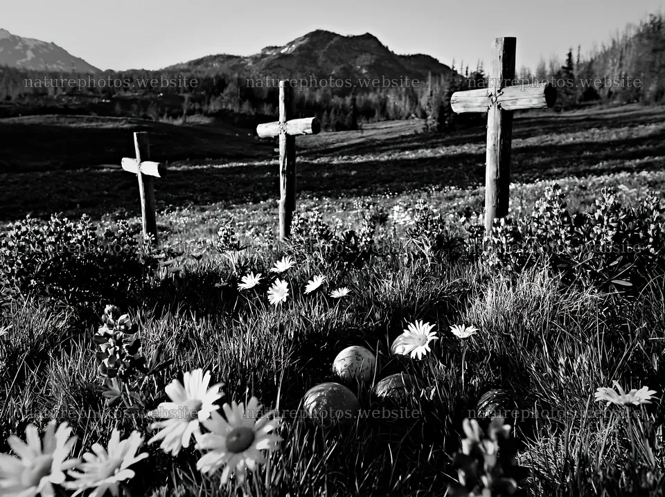 Christian crosses beside mineral spring meadow – nature photos 9174x6866