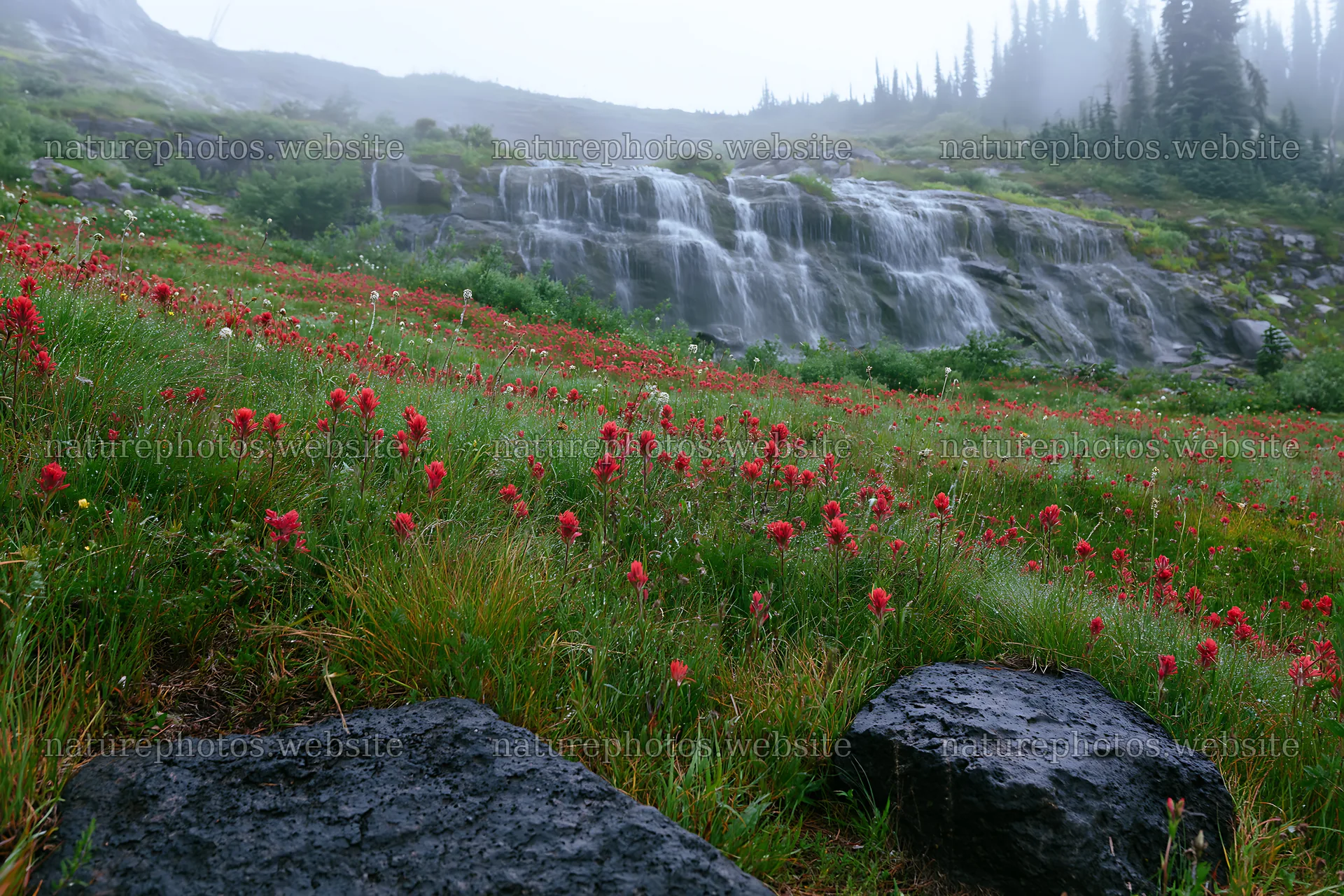 Misty mountain waterfall in a meadow with red flowers – nature photos 9722x6480