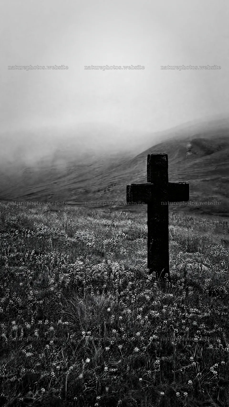 Dark cross in summer meadow under cloudy skies – nature photos 5952x10584