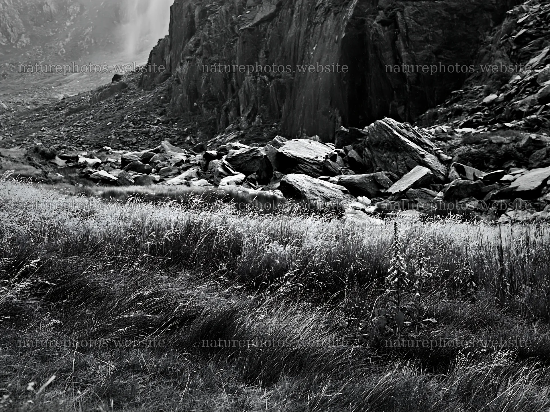 Meadow located beneath rocky crags with grass and stones – nature photos 9174x6866