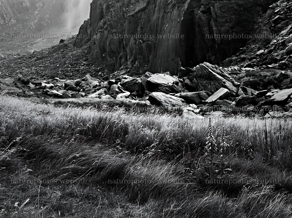 Meadow located beneath rocky crags with grass and stones – nature photos 9174x6866