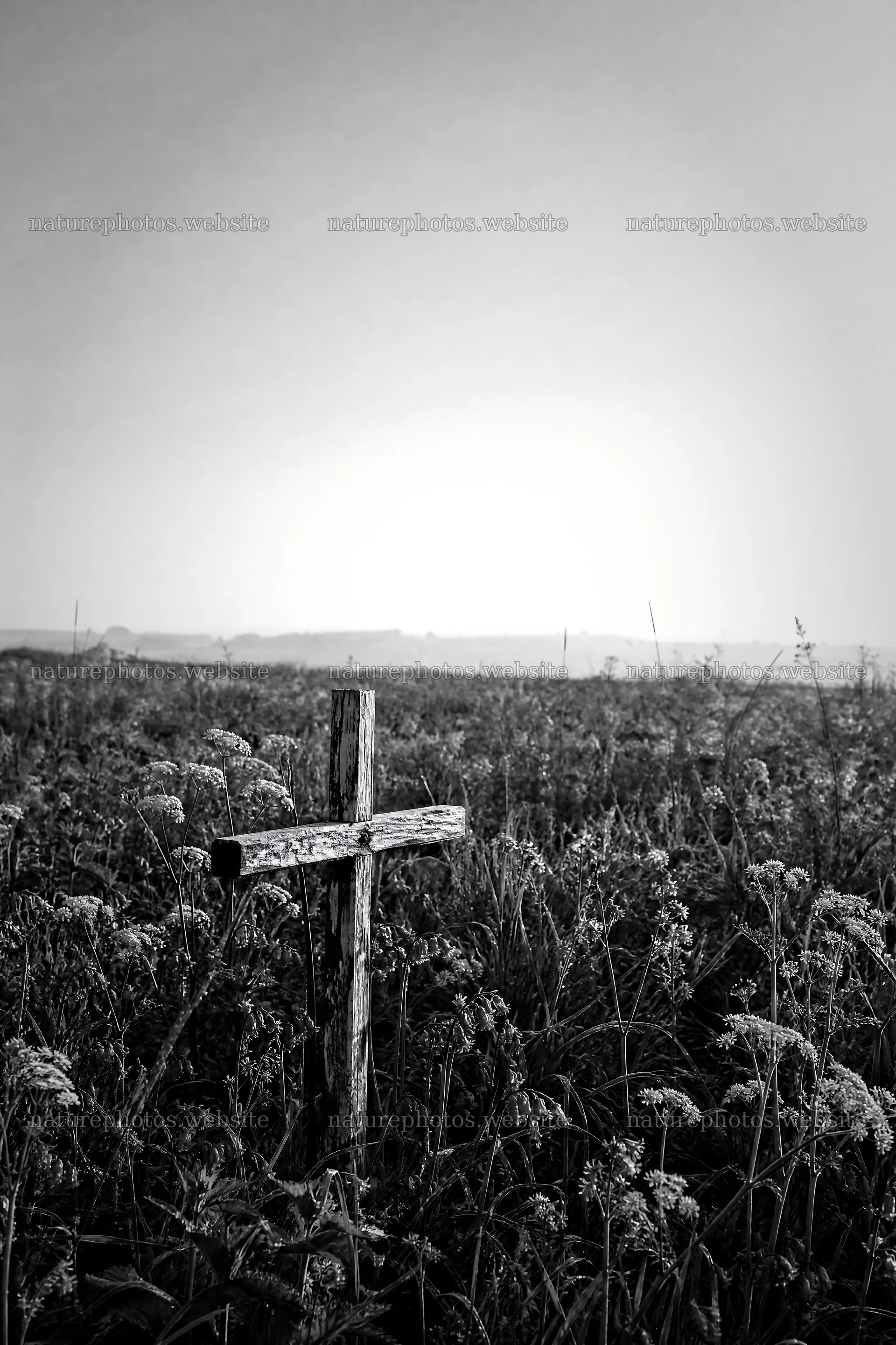 Rustic Christian cross in spring meadow at sunrise – nature photos 6480x9722