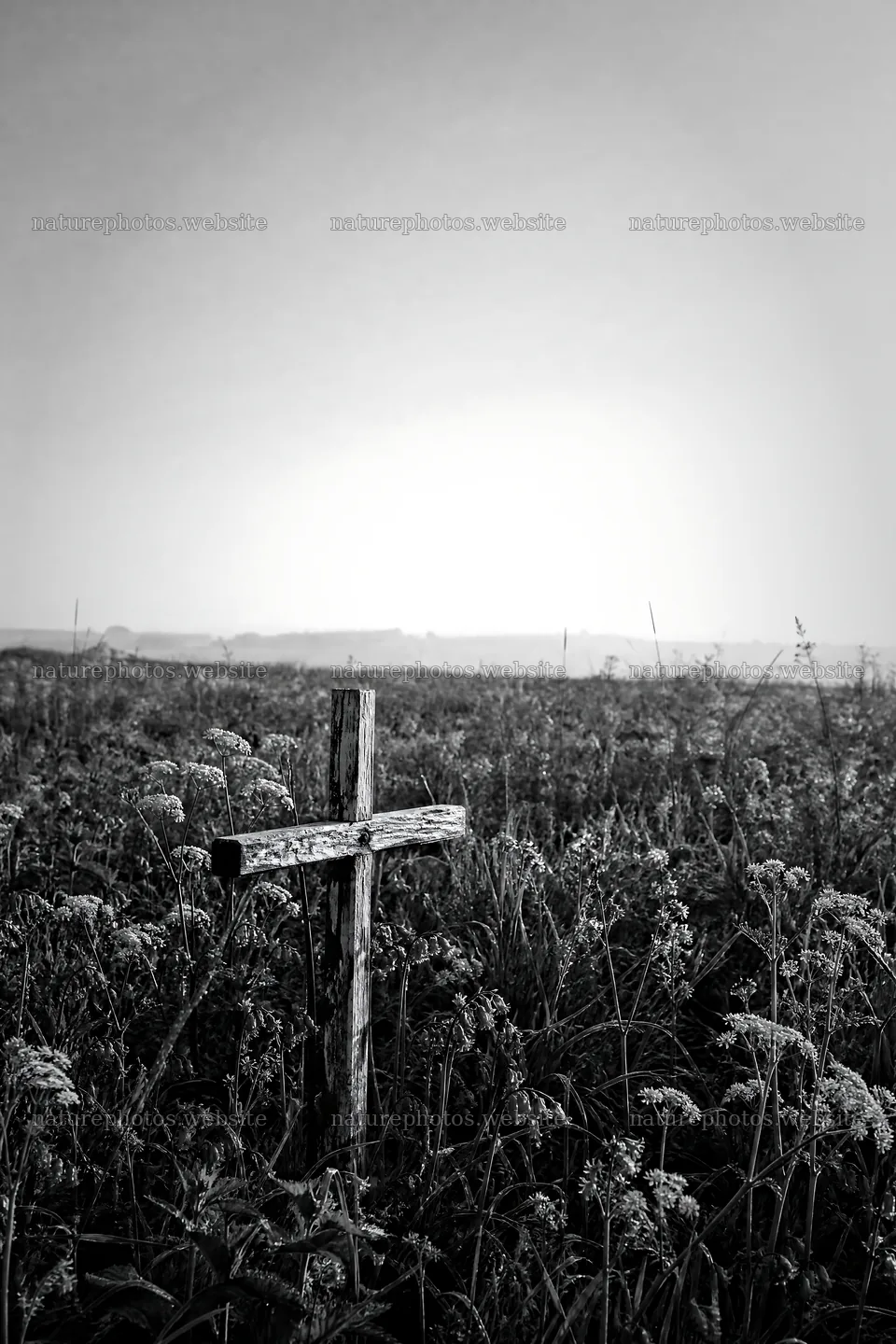 Rustic Christian cross in spring meadow at sunrise – nature photos 6480x9722