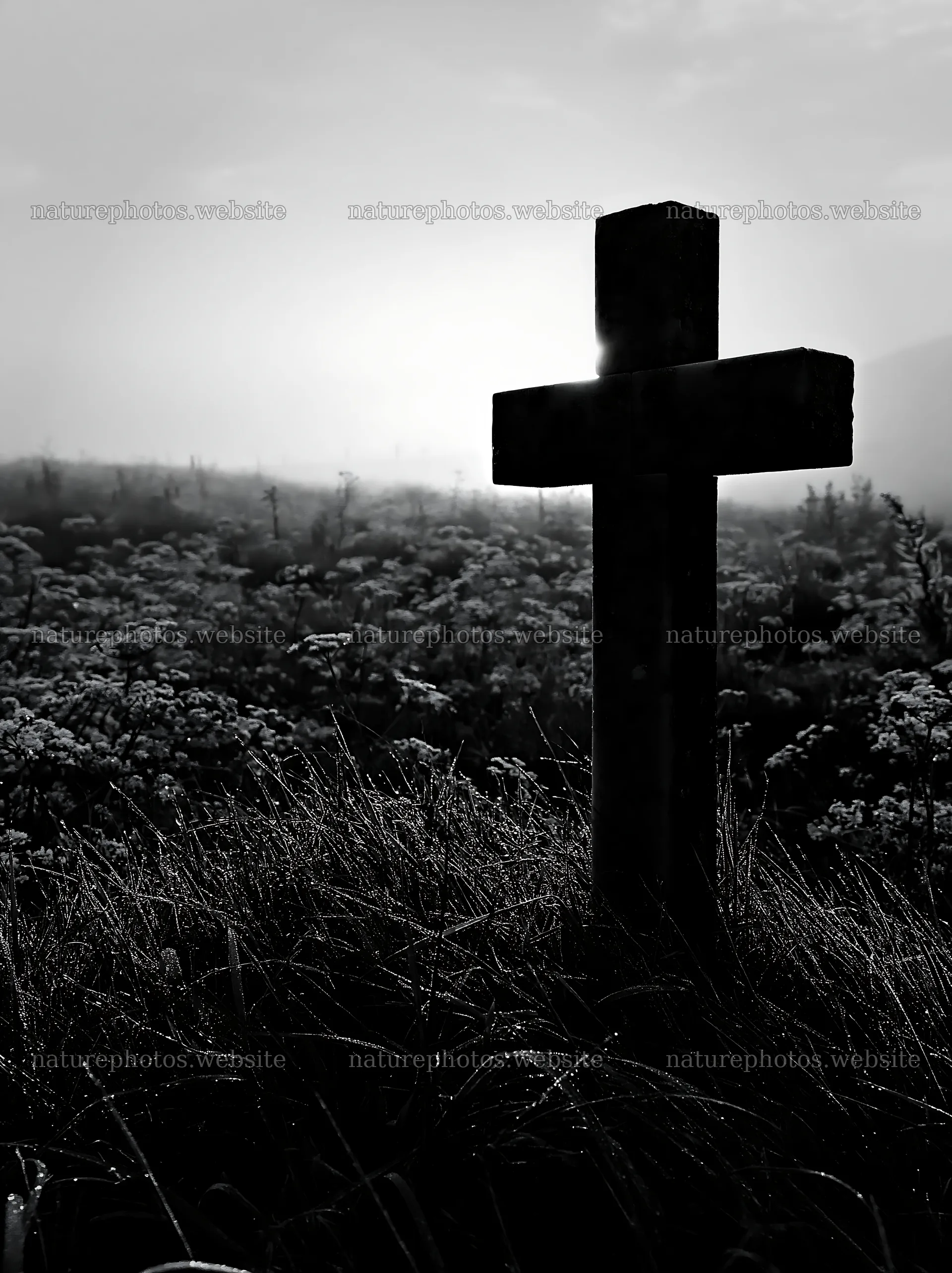 Christian cross at sunrise in a meadow with flowers – nature photos 6866x9174