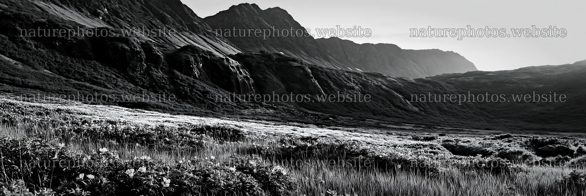 Wild rose waterfall meadow with mountains in black and white – nature photos 13690x4602