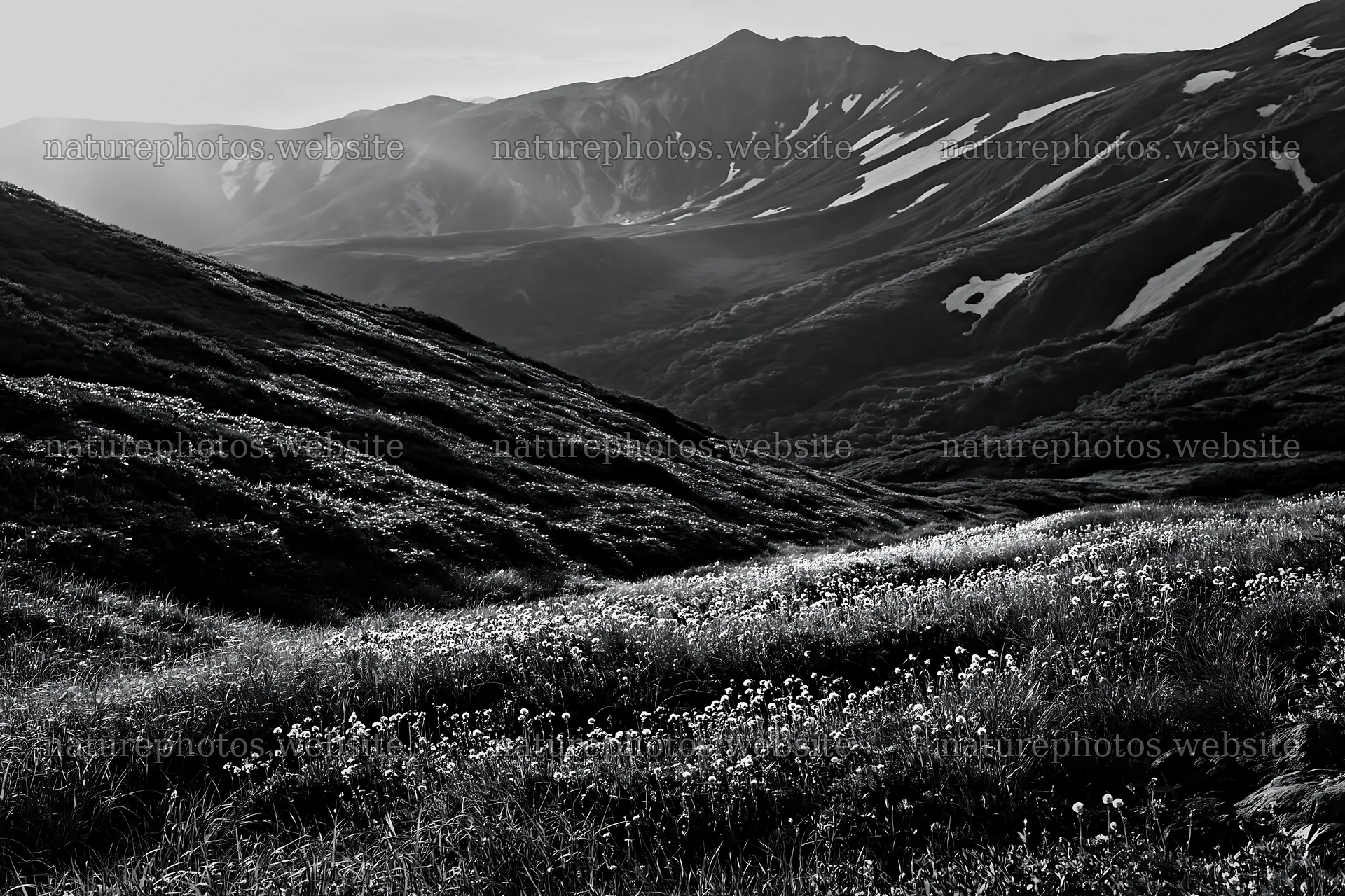 Light rays in Daisetsuzan alpine meadow during daylight – nature photos 9722x6480