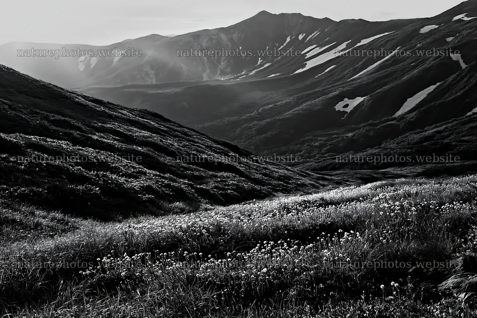 Light rays in Daisetsuzan alpine meadow during daylight – nature photos 9722x6480