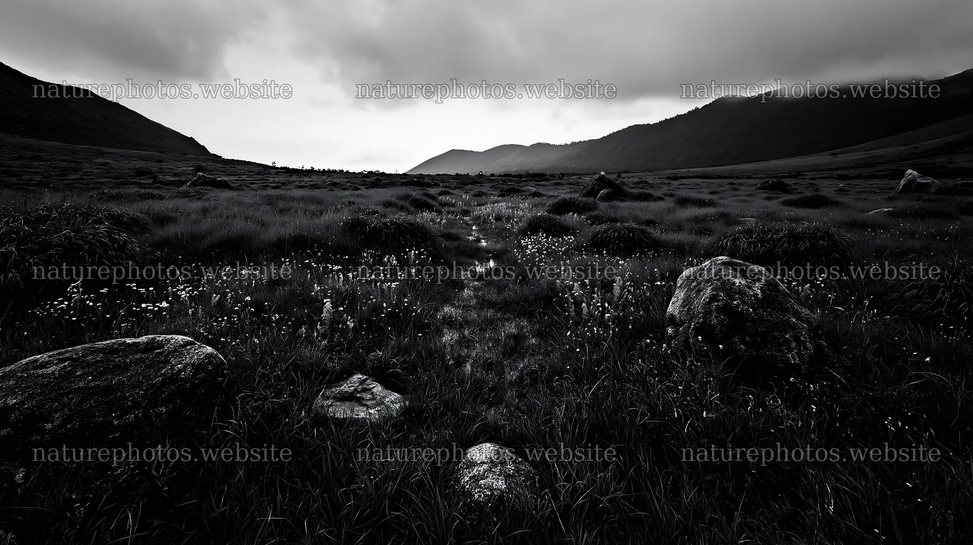 Oita highland meadow with granite stones in the landscape – nature photos 10608x5938