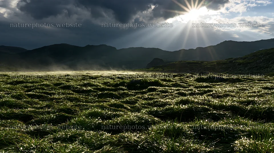 Light rays over meadow in Bucegi Mountains – nature photos 10608x5938