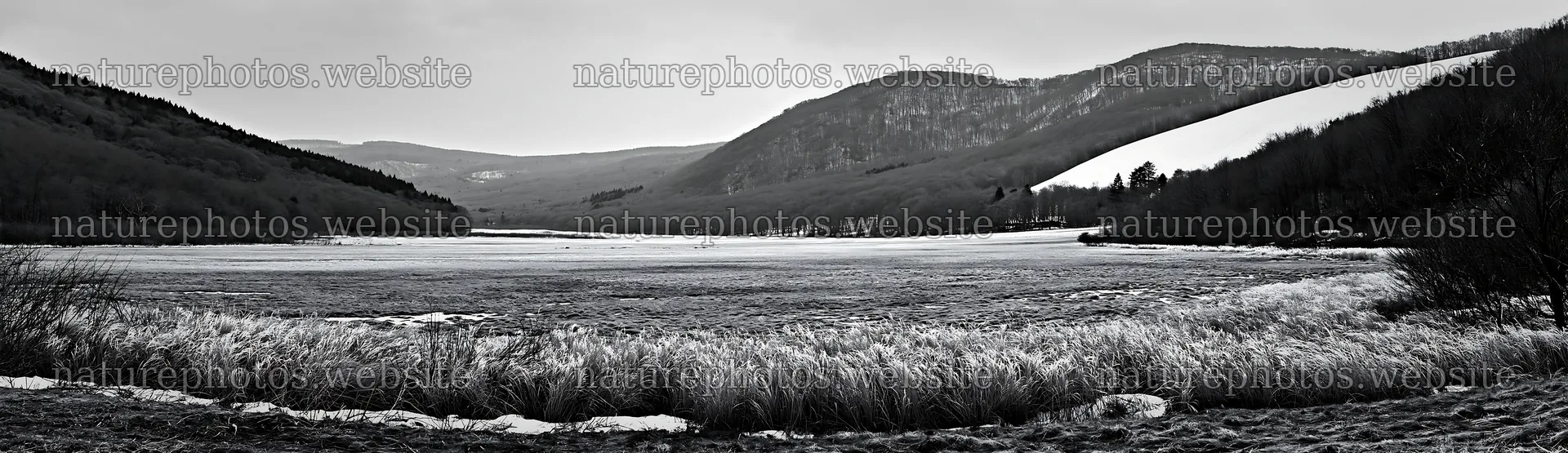 Akita snowmelt meadow with silver grasses shows winter's end – nature photos 14762x4268