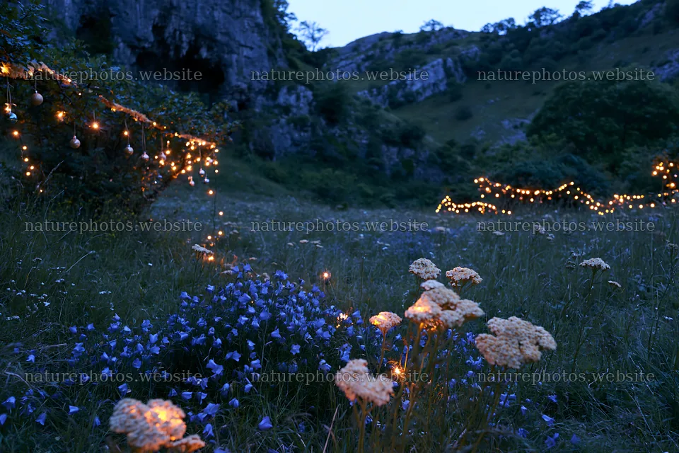 Christmas lights glow in meadow by cave at dusk – nature photos 9722x6480