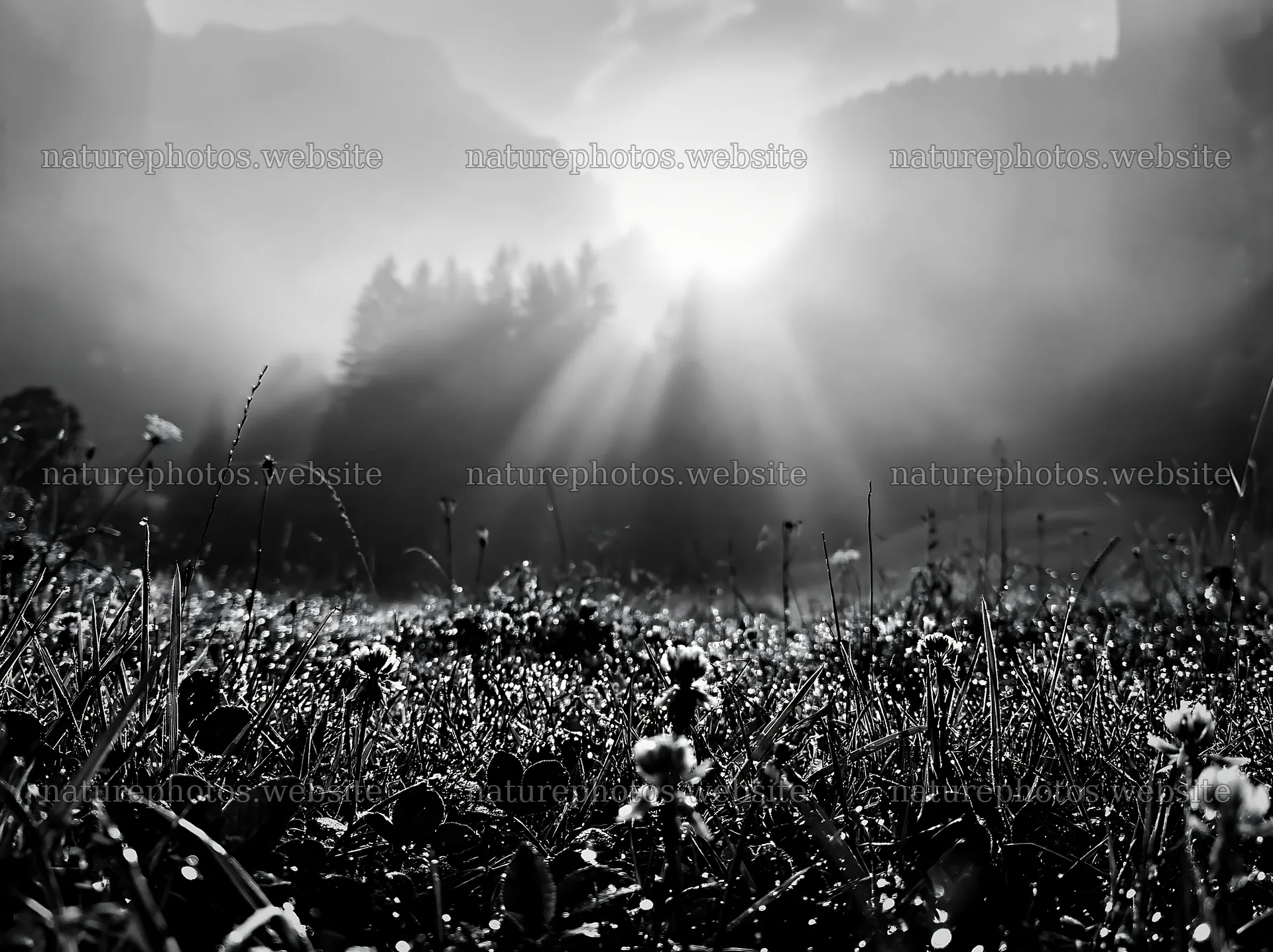 Light rays shine over meadow in Lauterbrunnen Valley – nature photos 9174x6866
