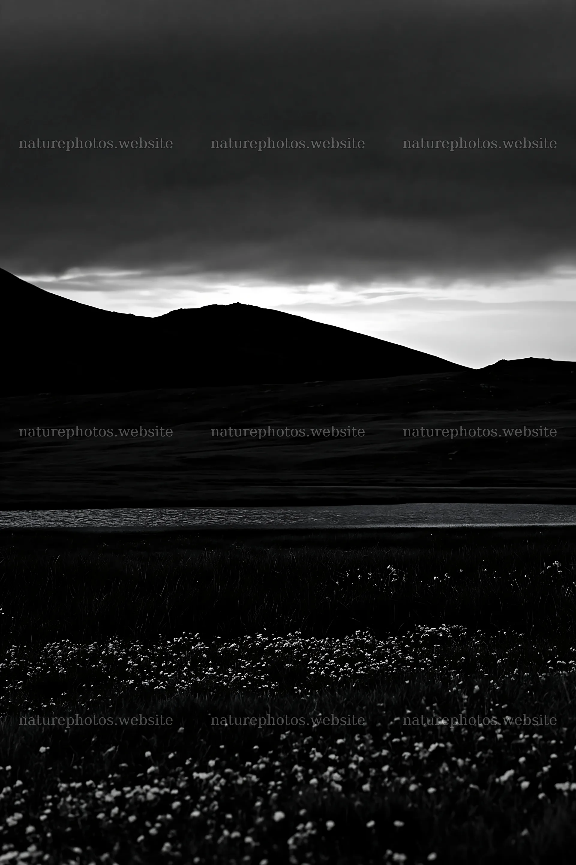 Moonrise over meadow with dark hills and flowers – nature photos 6480x9722