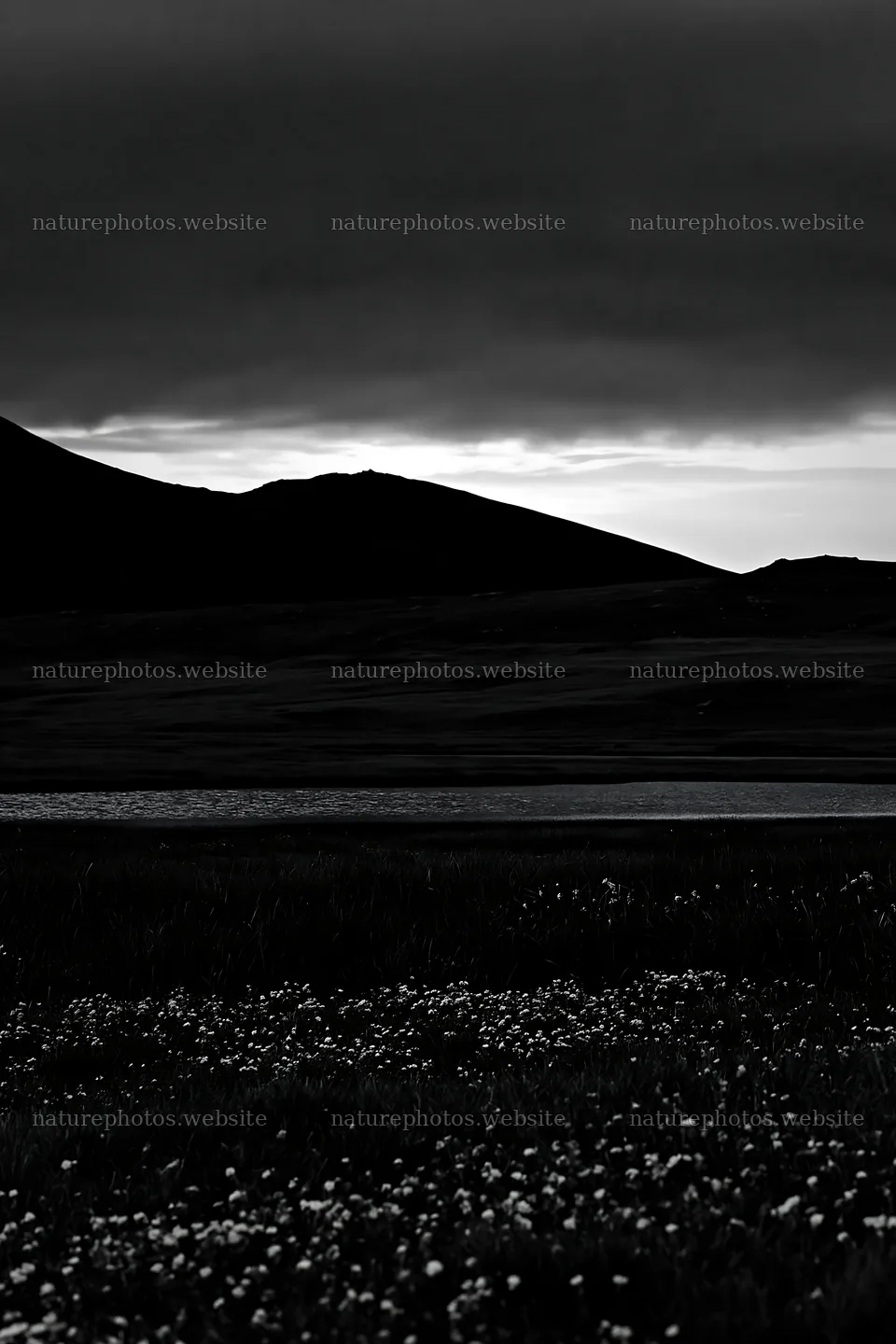 Moonrise over meadow with dark hills and flowers – nature photos 6480x9722