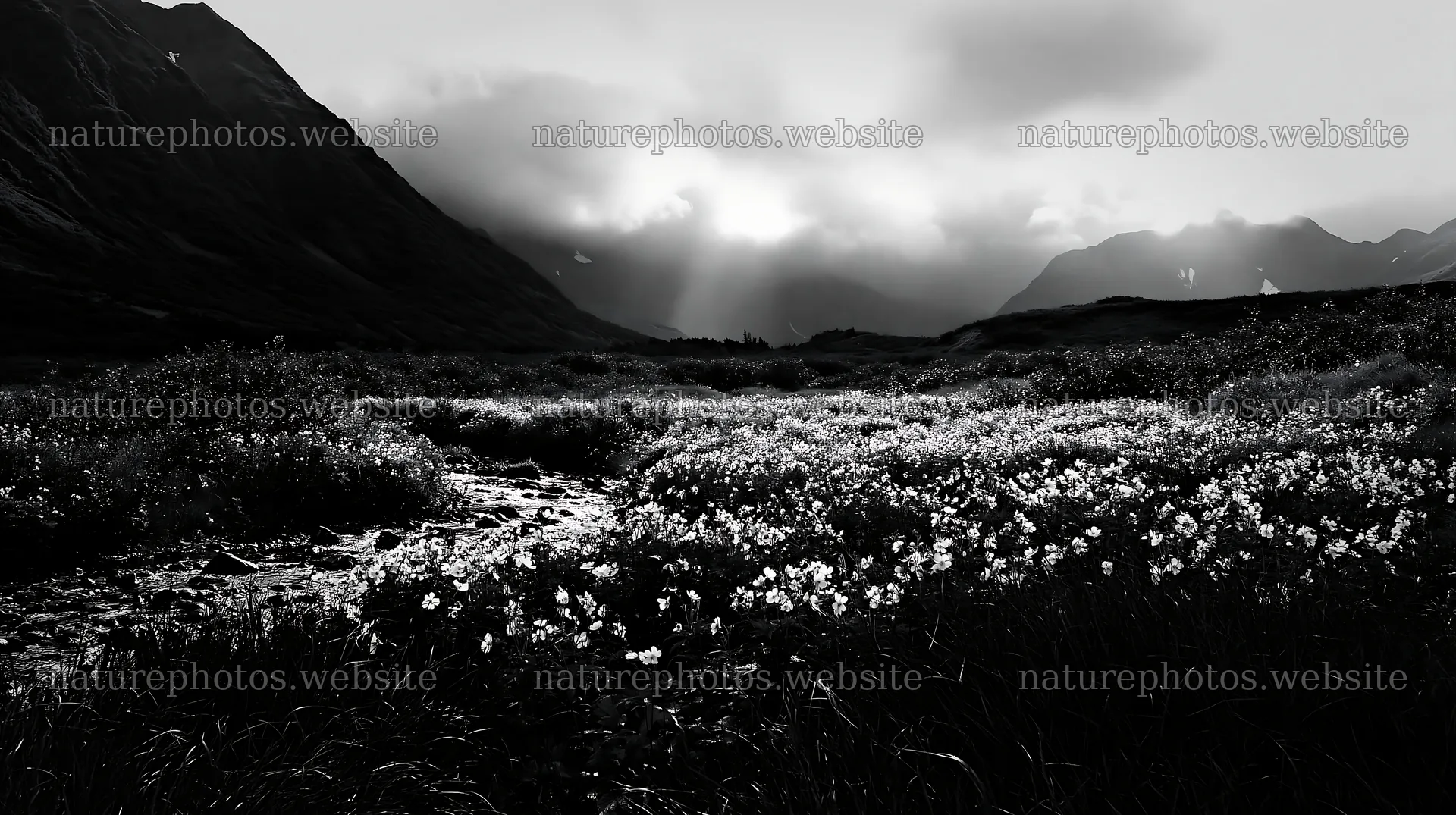 High contrast view of brook meadow with mountains and clouds – nature photos 10608x5938