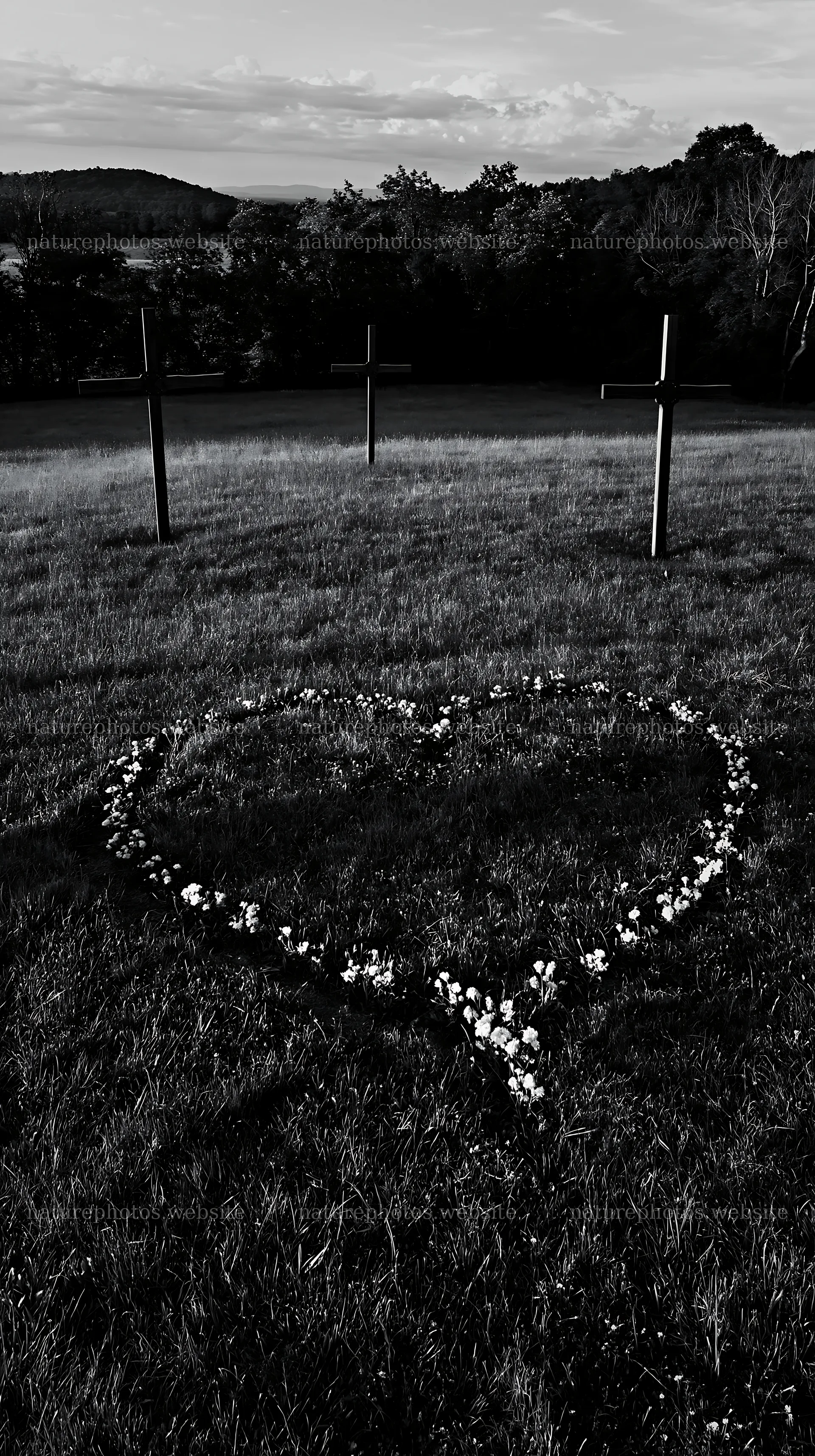 Three Christian crosses in a meadow with flowers arranged in a heart – nature photos 5938x10608