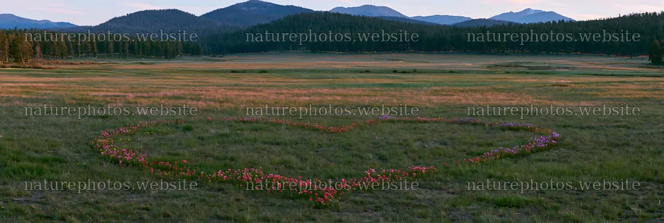Christmas lights in mountain valley meadow at night – nature photos 13690x4602