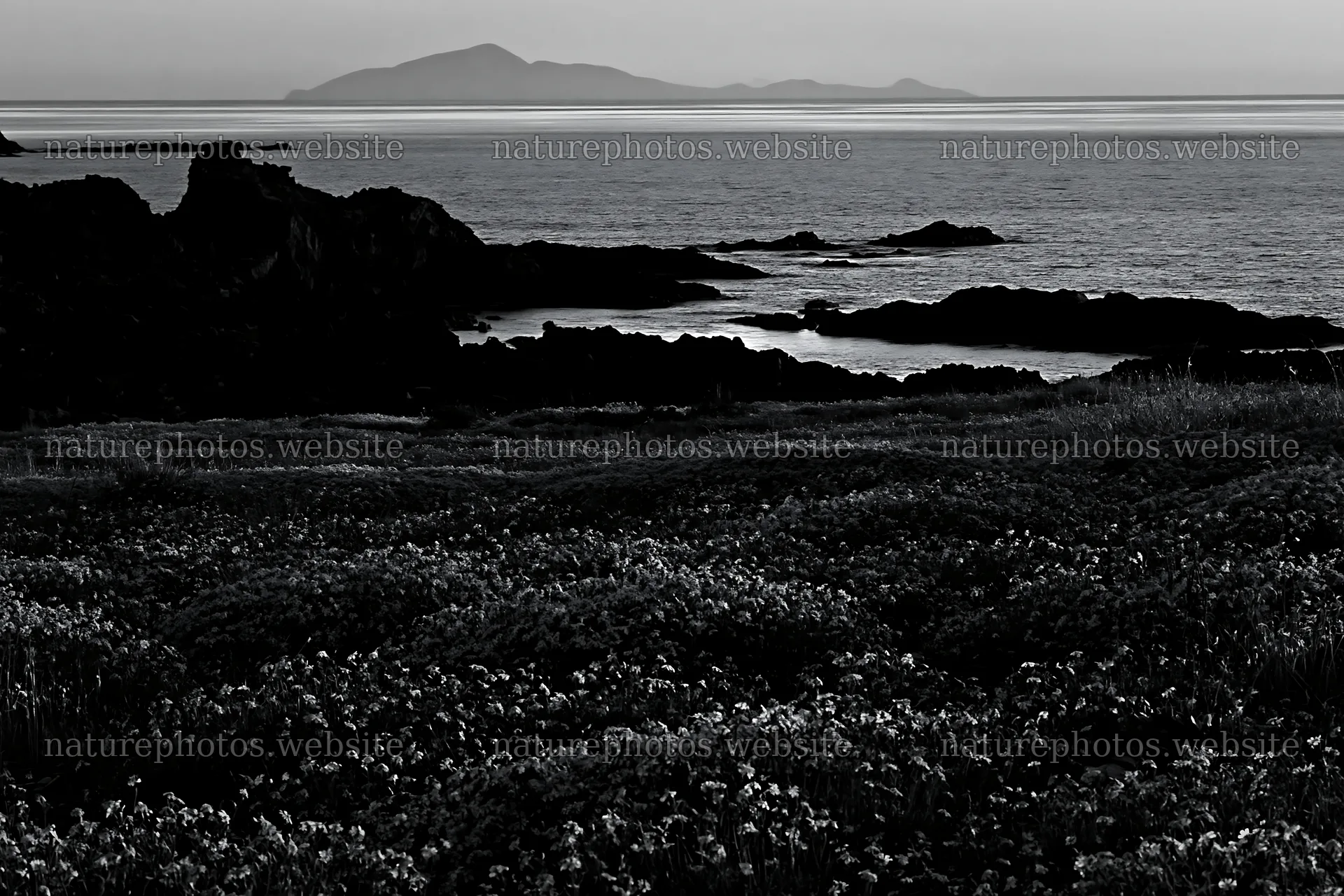 Italian meadow by rocky coast at dusk – nature photos 9722x6480