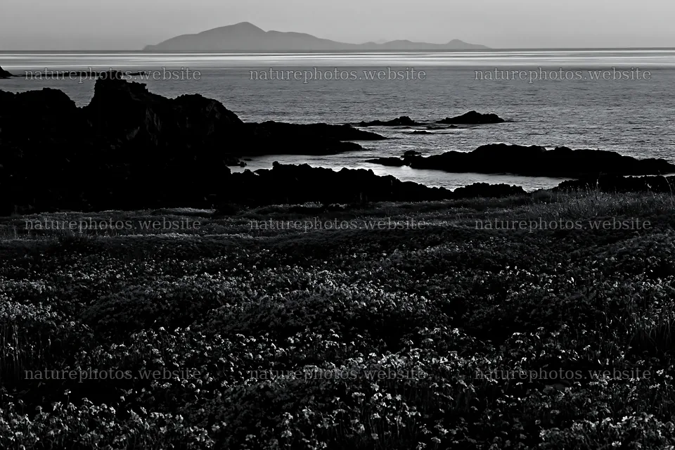 Italian meadow by rocky coast at dusk – nature photos 9722x6480