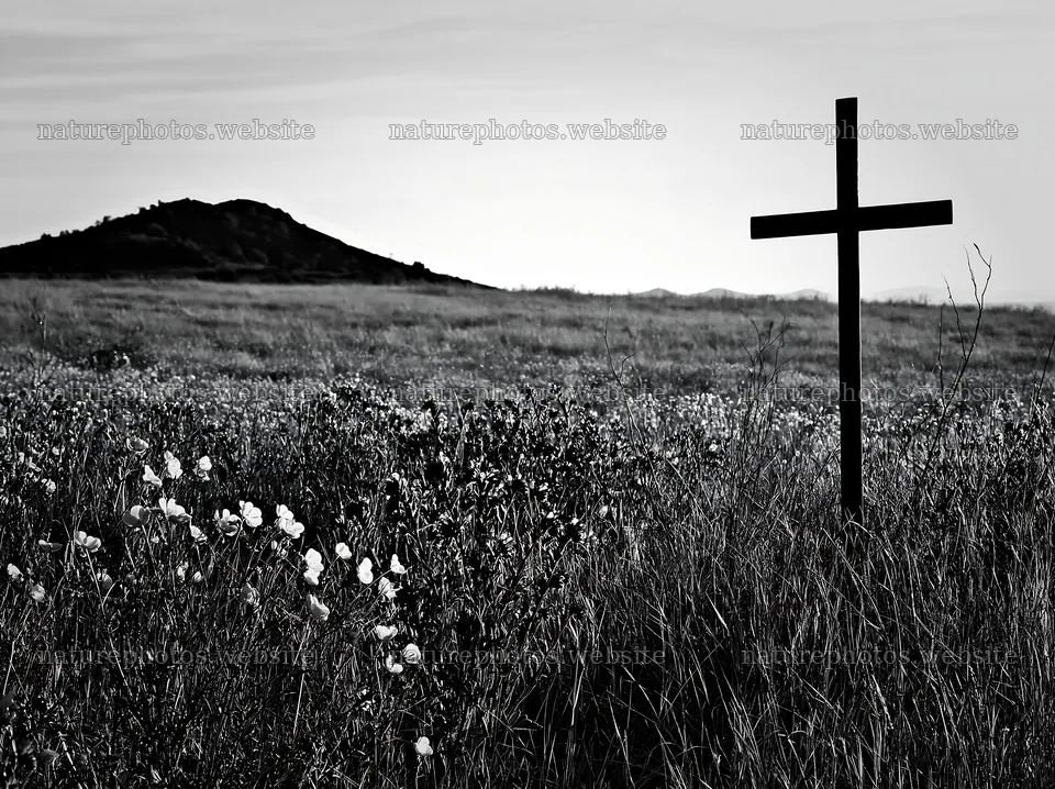 Simple Christian cross in meadow with flowers and hills – nature photos 9174x6866