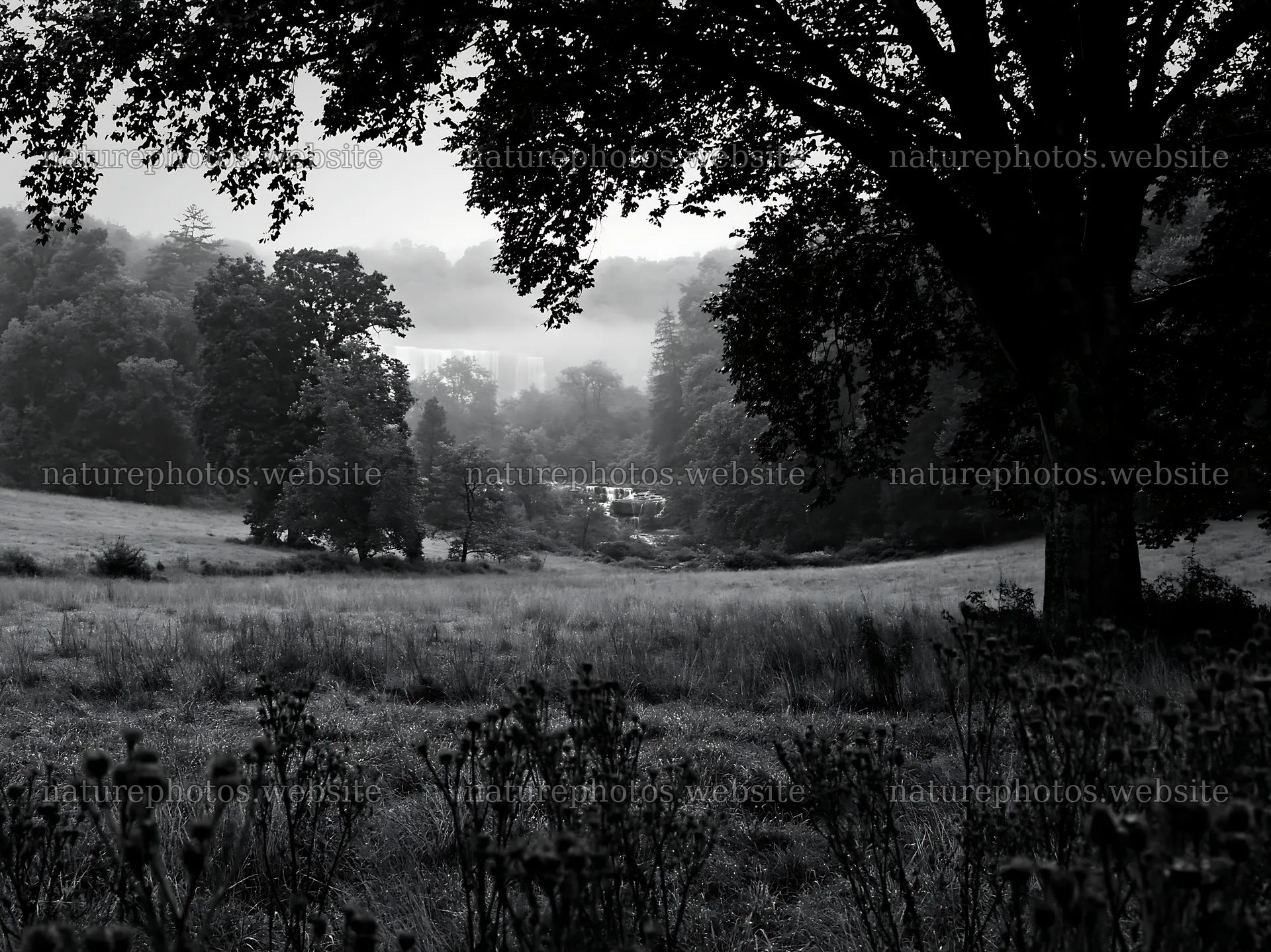 Meadow with visible cascade seen through trees – nature photos 9174x6866