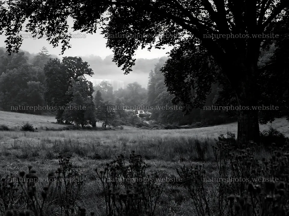 Meadow with visible cascade seen through trees – nature photos 9174x6866