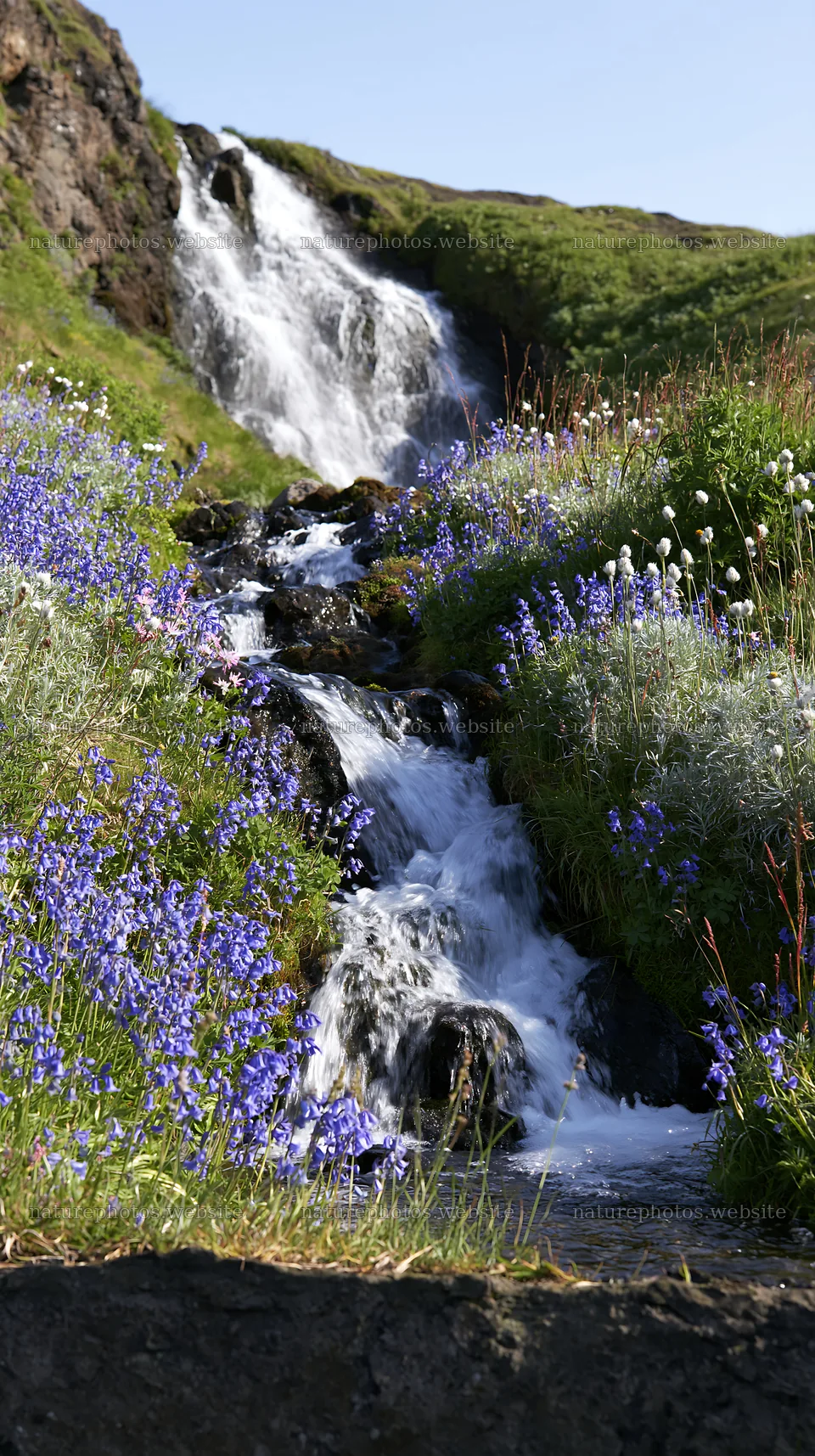 Summer wildflower meadow with waterfall in bright sunlight – nature photos 5938x10608