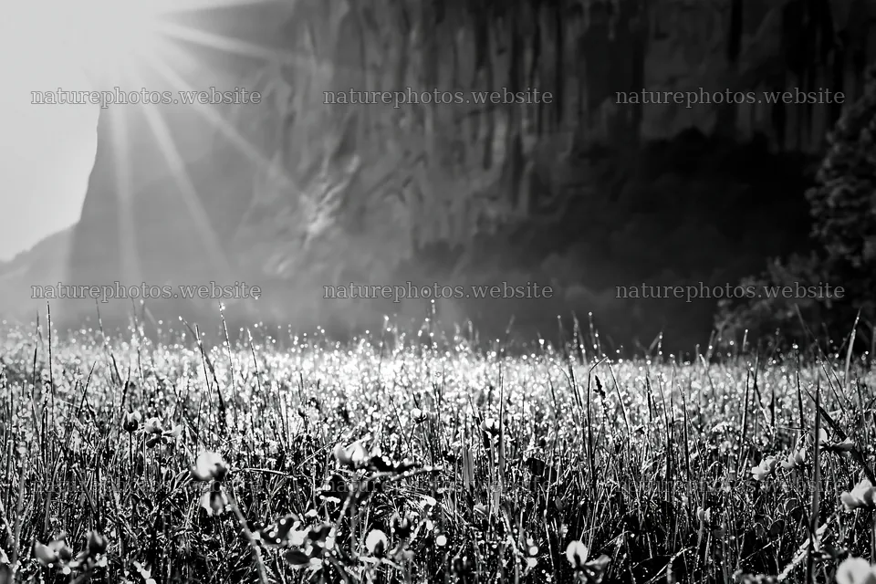 Light rays shining over meadow in Lauterbrunnen Valley – nature photos 9722x6480