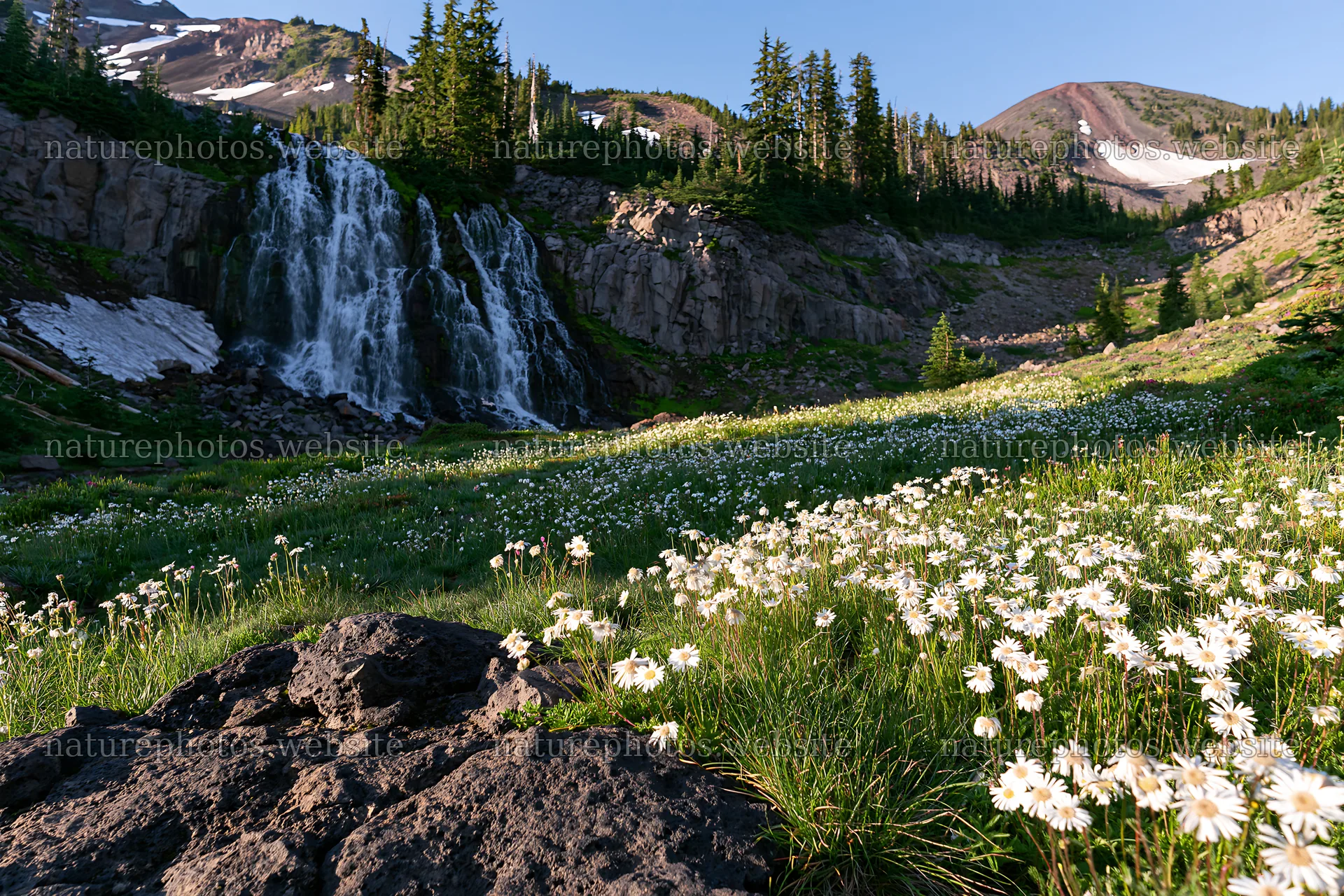 White wildflower meadow under waterfall in a mountain setting – nature photos 9722x6480