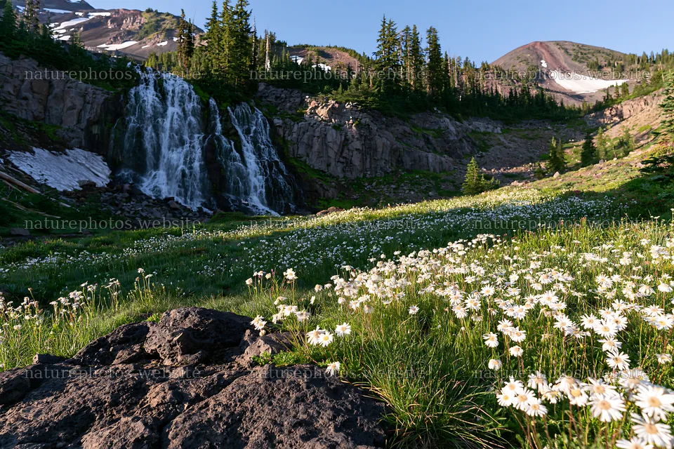 White wildflower meadow under waterfall in a mountain setting – nature photos 9722x6480