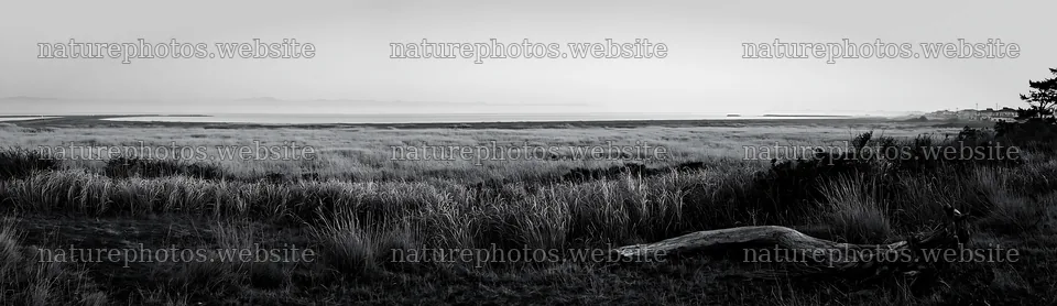 Chiba coastal landscape with meadow and driftwood in foreground – nature photos 14762x4268