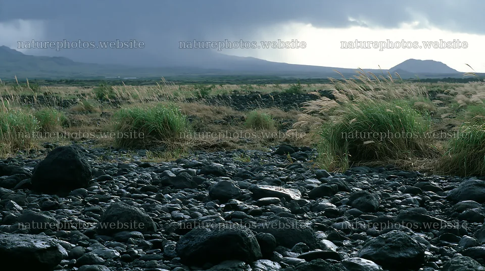 Kagoshima volcanic meadow with pumice foreground and stormy sky – nature photos 10608x5938