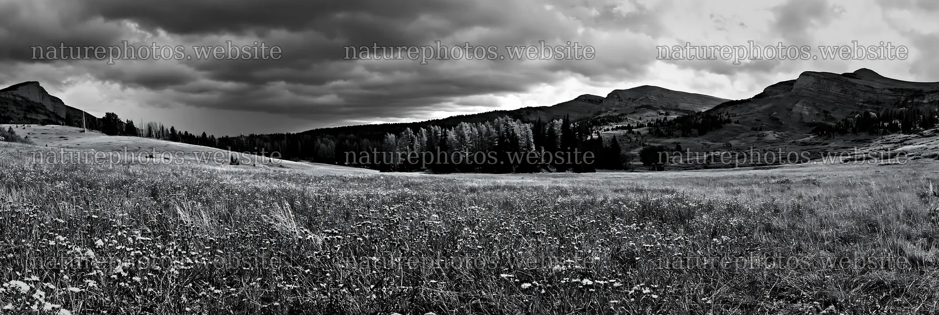 Autumn meadow with dark clouds above mountains – nature photos 13690x4602