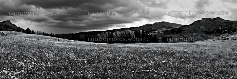 Autumn meadow with dark clouds above mountains – nature photos 13690x4602