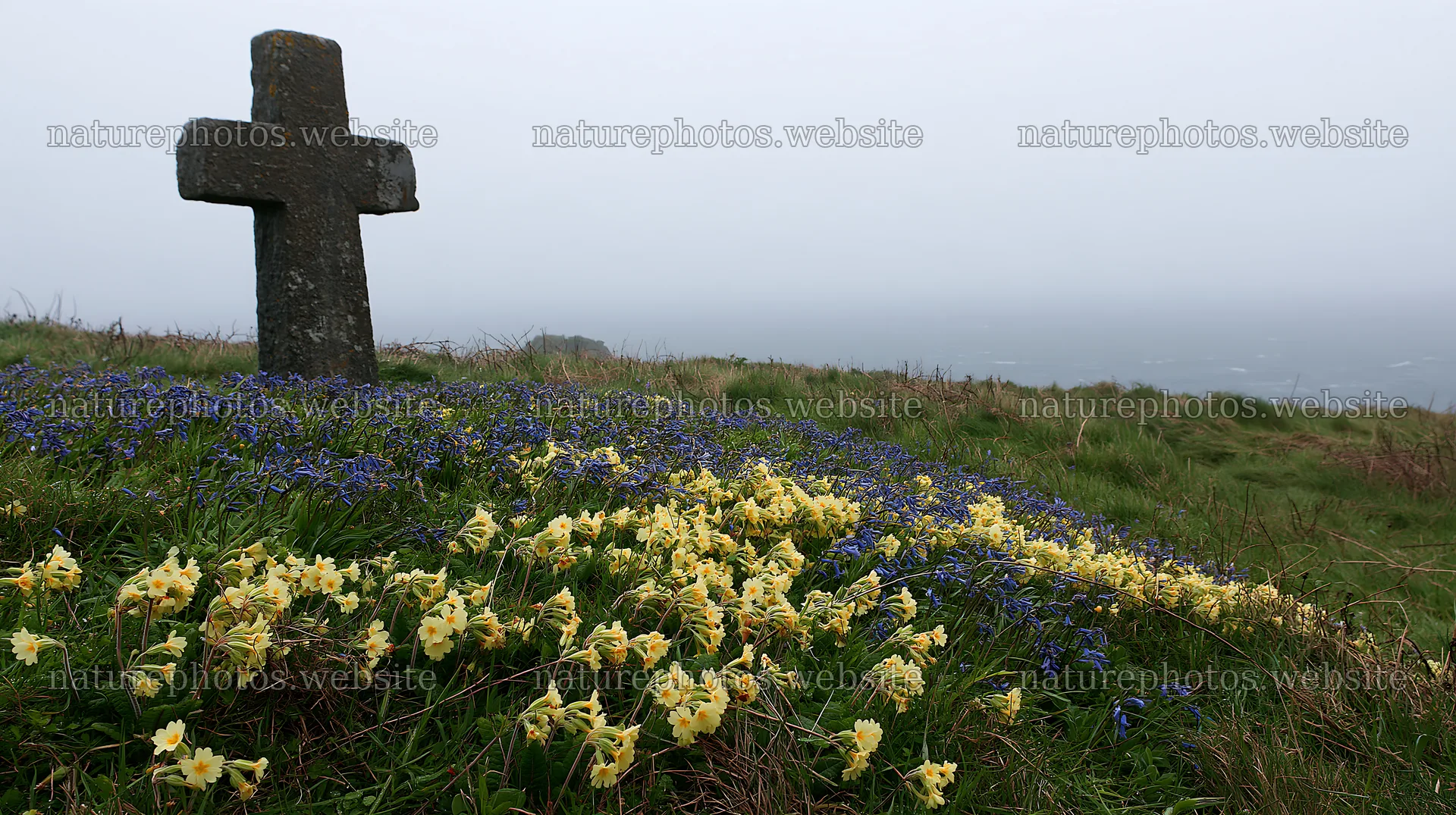 Rustic Christian cross in a winter meadow – nature photos 10608x5938