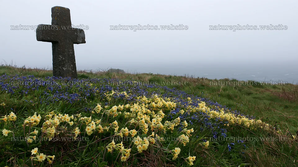 Rustic Christian cross in a winter meadow – nature photos 10608x5938