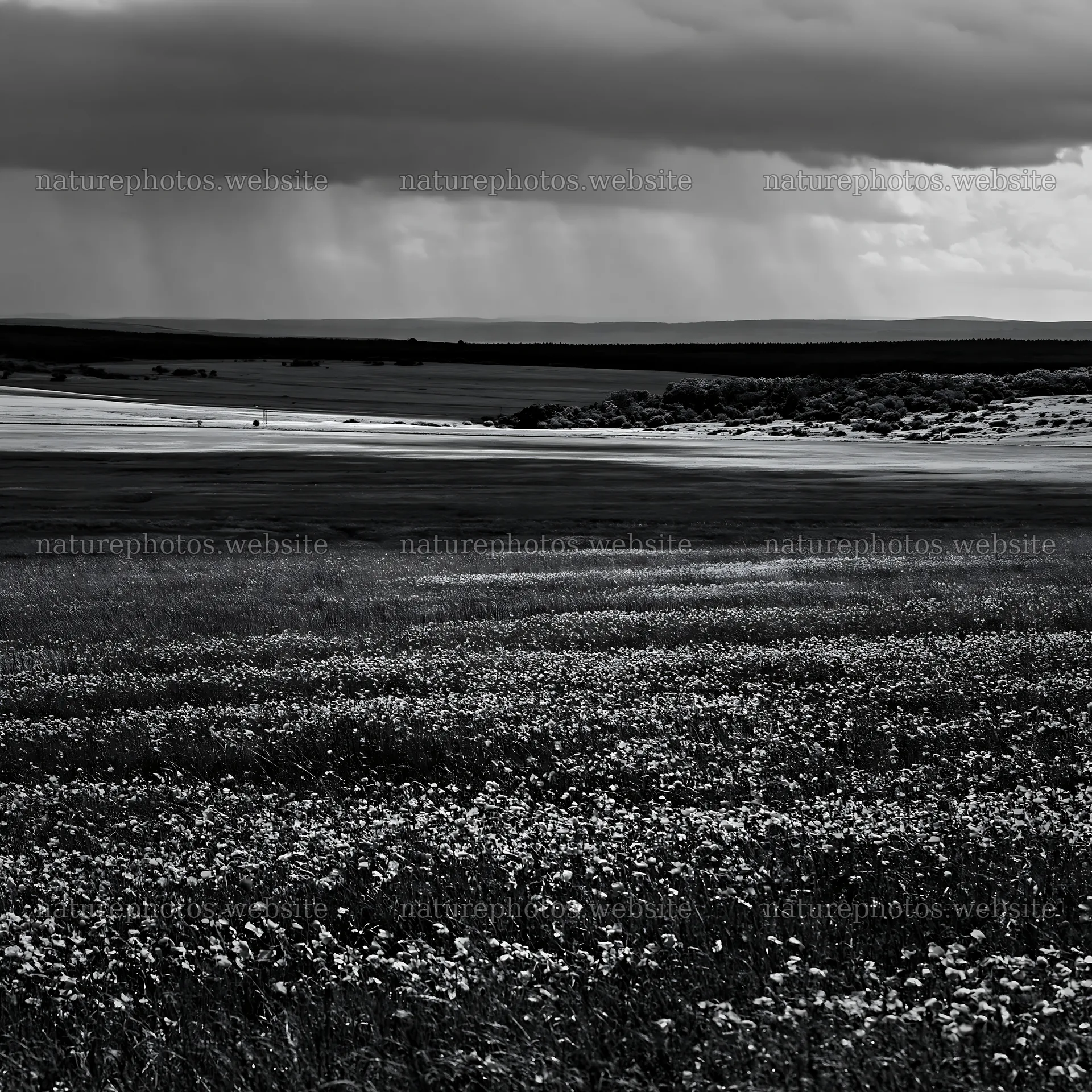 Rainy valley meadow under dark clouds – nature photos 7938x7938