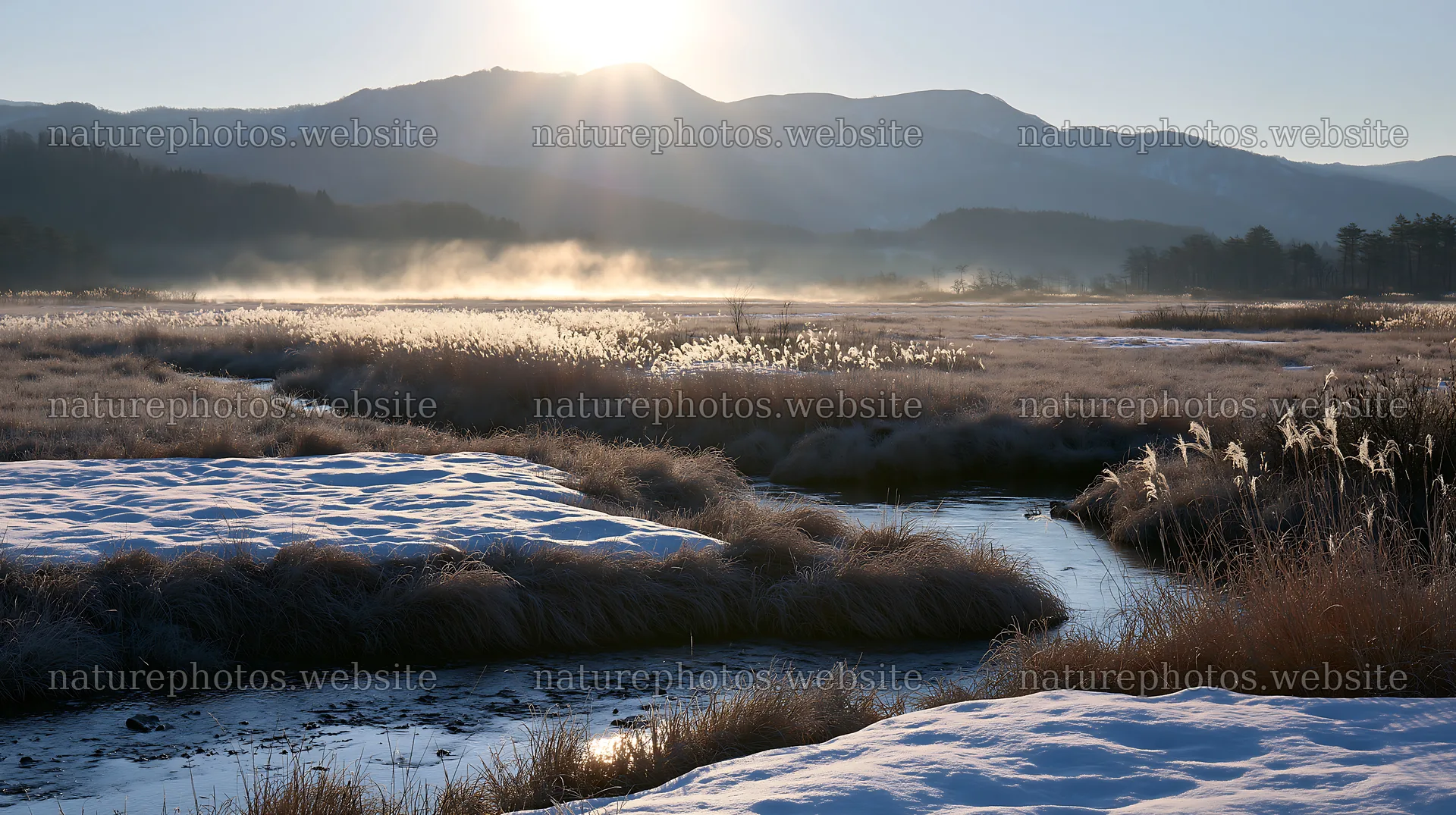 Akita snowmelt meadow with silver grasses under morning light – nature photos 10608x5938
