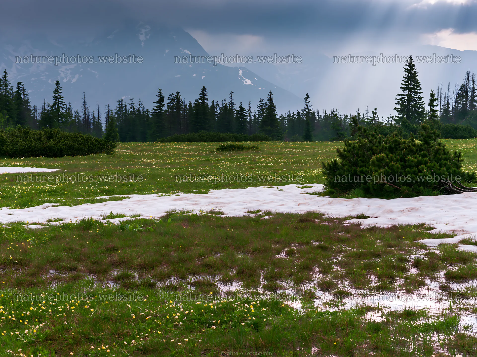 Tatra mountains meadow during spring snowmelt – nature photos 9174x6866